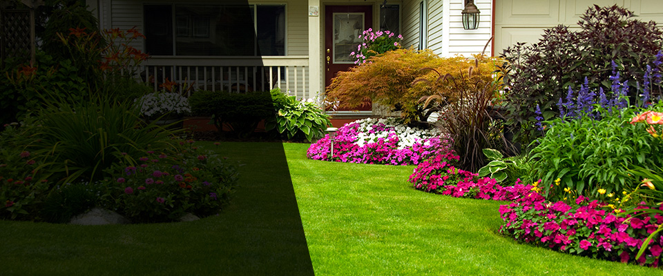 Foster Landscapers