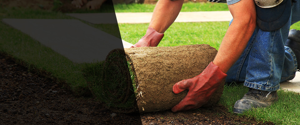 Foster Landscapers